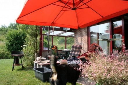 Urlaub mit Hund am Meer