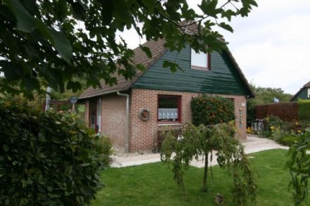 Urlaub mit Hund am Meer