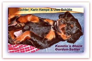 Kemtin´s Black