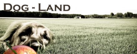 Dog-Land