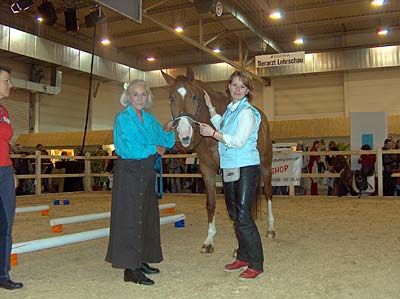 Komplementäre ganzheitliche–sozialpäd. Begleitung