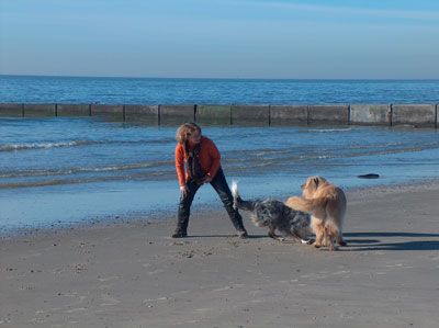 Komplementäre ganzheitliche–sozialpäd. Begleitung