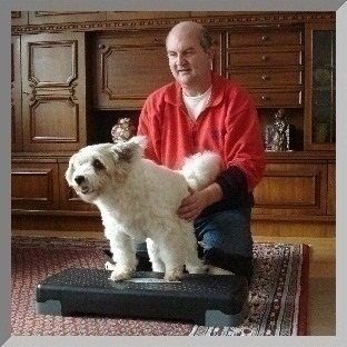 Rund um Ihren Hund - Jost Wunner