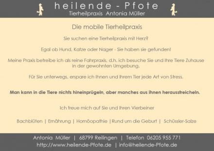 Tierheilpraxis heilende Pfote