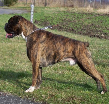 Jun.Sgr. ROMULUS J.A.L.SANDOW