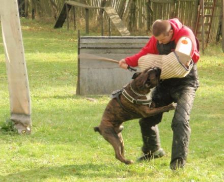 Jun.Sgr. ROMULUS J.A.L.SANDOW