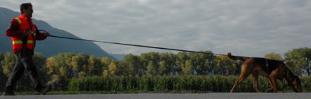 Hund mit Mensch Schule