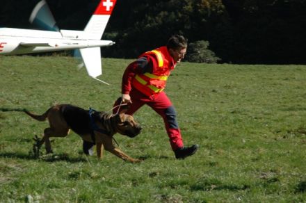 Hund mit Mensch Schule