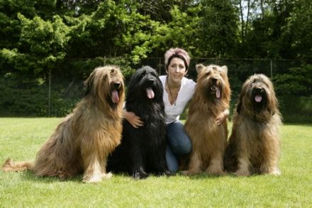 Hundeschule Wildenrath