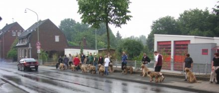 Hundeschule Wildenrath