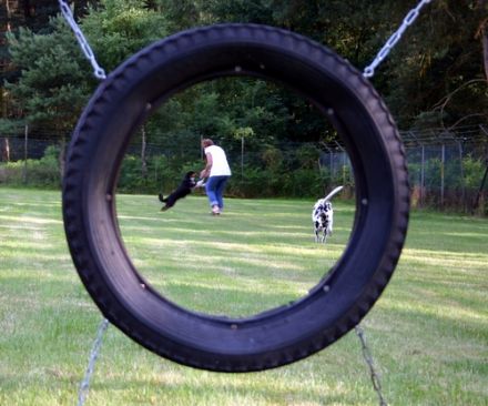 Hundeschule Wildenrath