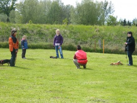 Naturalny WILK Hundeschule