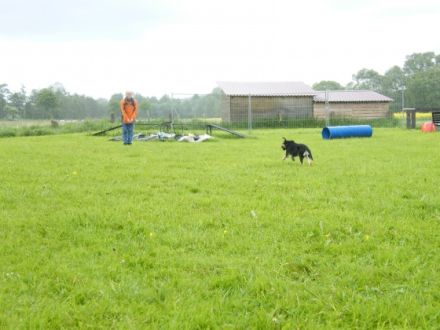 Naturalny WILK Hundeschule
