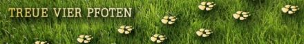 Treue vier Pfoten