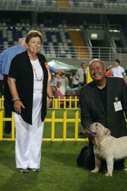 DRAGON WHITE Z Bezimiennego Zamku