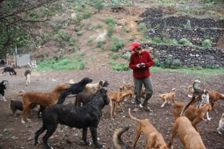 Alex Angrick (Ausbildung bei Martin Rütter)