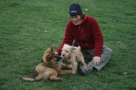 Alex Angrick (Ausbildung bei Martin Rütter)