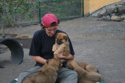 Alex Angrick (Ausbildung bei Martin Rütter)