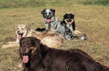 Martins Magic Moments