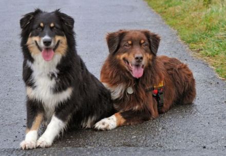 Martins Magic Moments