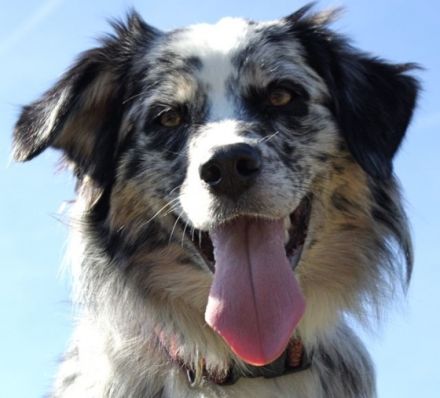 Martins Magic Moments