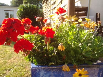 bed and breakfast Privatzimmer und Ferienwohnungen