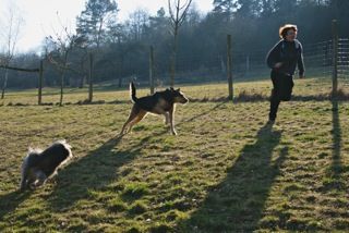 Tierpension Eindachhof