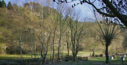 Tierpension Eindachhof