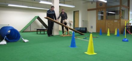 Magic Friends Vilshofen