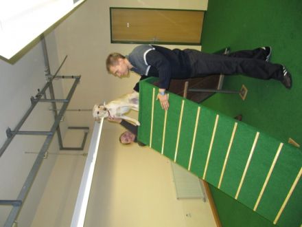 Magic Friends Vilshofen