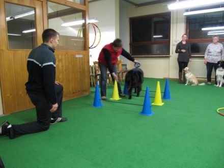 Magic Friends Vilshofen