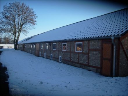 Hundepension  Peacock´s Manor