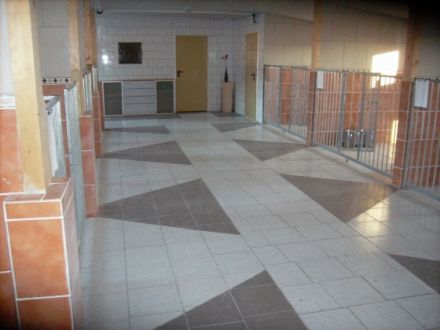 Hundepension  Peacock´s Manor