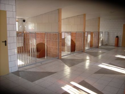 Hundepension  Peacock´s Manor