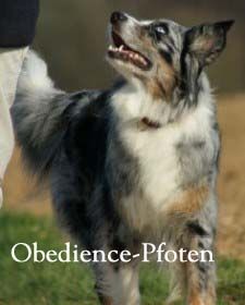 Obedience-Pfoten