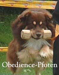 Obedience-Pfoten