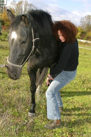 Pferdeosteopathie Susanne Wünstel