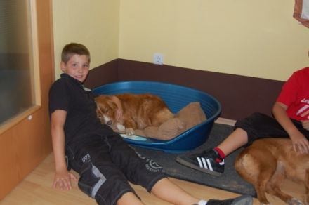 Hundepension: Carolin's kleine Hunde- Ranch