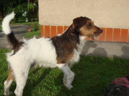 IGNAZ VOM HASSLACHTAL