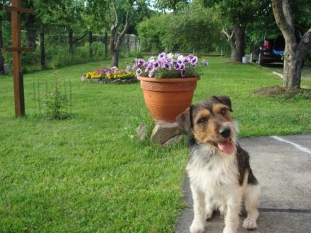 IGNAZ VOM HASSLACHTAL