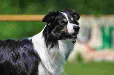 On my Own More than Words can say