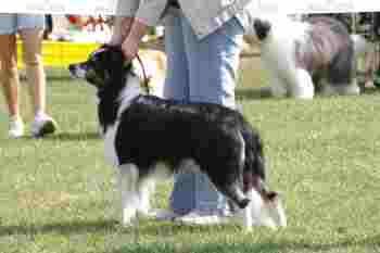 On my Own More than Words can say