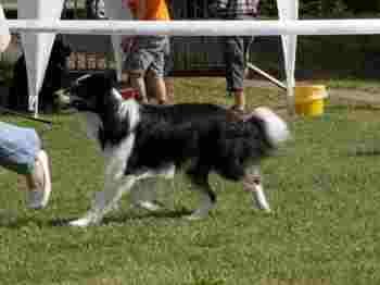 On my Own More than Words can say