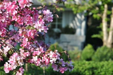 Cottage No. 8 - Landhauswohnung