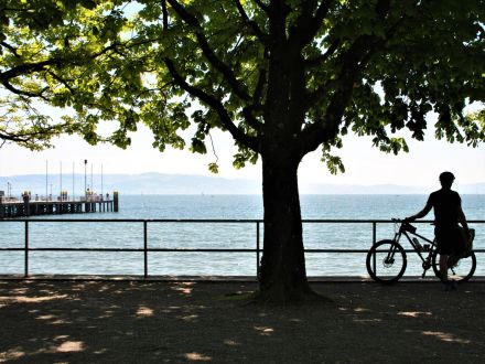 Cottage No. 8 - Landhauswohnung