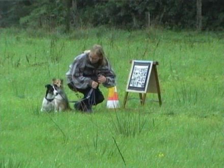 Revital Hundeschule in Kummerfeld