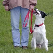 Artgerechte Hundeerziehung, Dr. Andrea Kleist