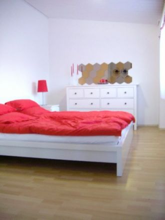 Das hundefreundliche Ferienhaus am Haddorfer See