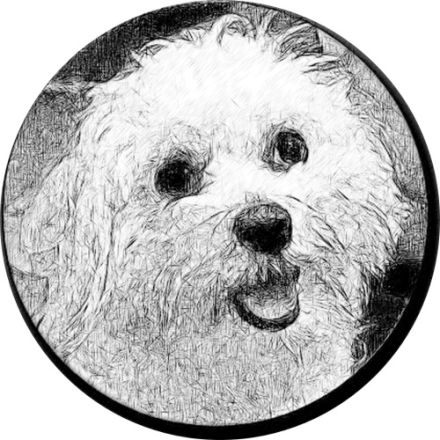 Bell-Dich-Glücklich