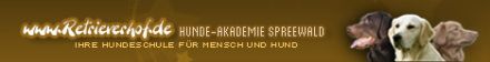 Hunde Akademie Spreewald